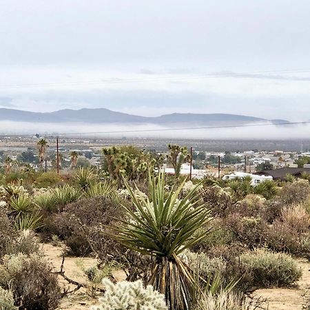 Cozy Desert Retreat With Amazing Views Only 4 Miles To Jtnp Joshua Tree Bagian luar foto