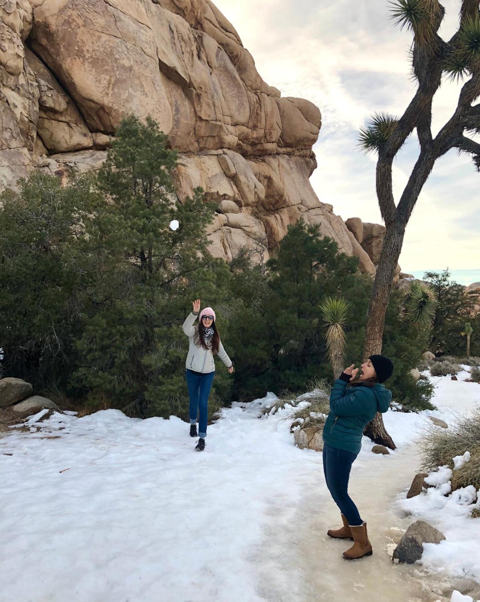 Cozy Desert Retreat With Amazing Views Only 4 Miles To Jtnp Joshua Tree Bagian luar foto